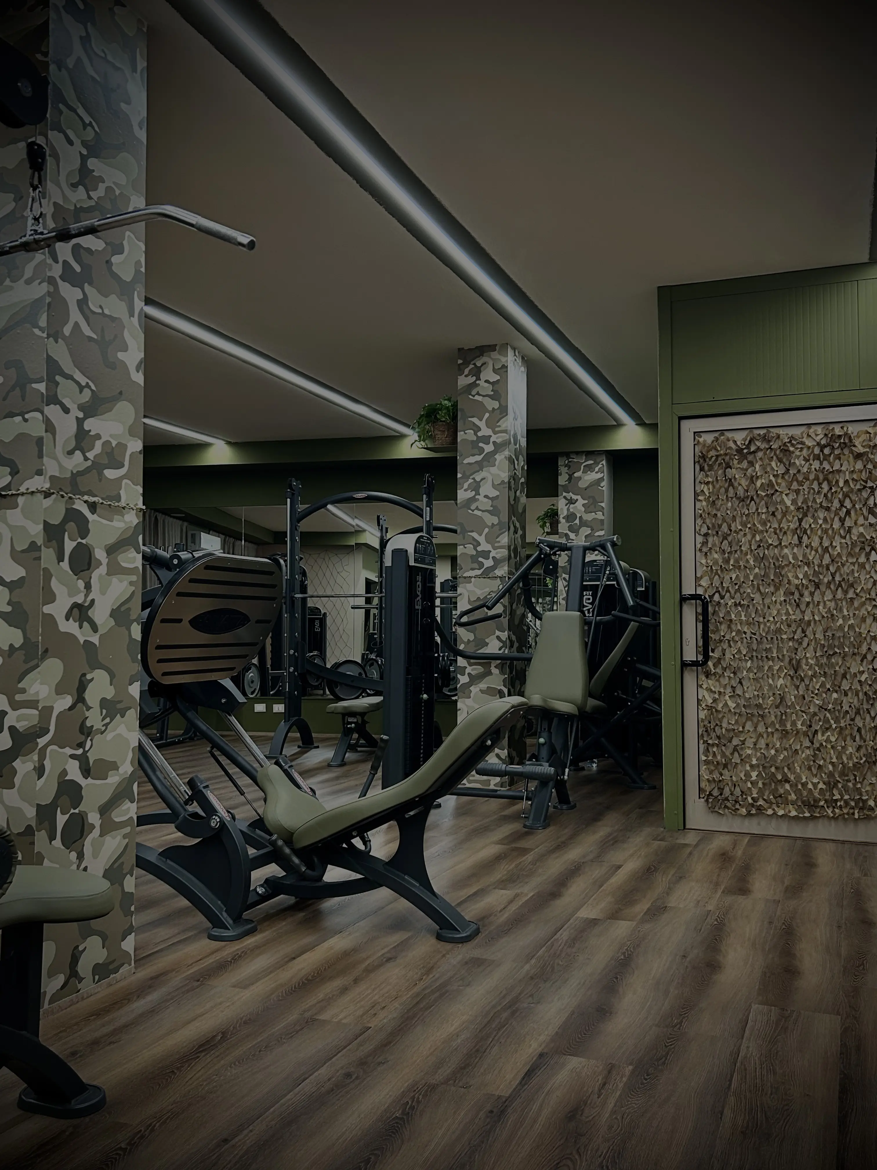 Zona Pesi - Manubri e Panche Professionali